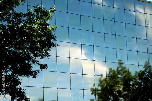 urban reflections