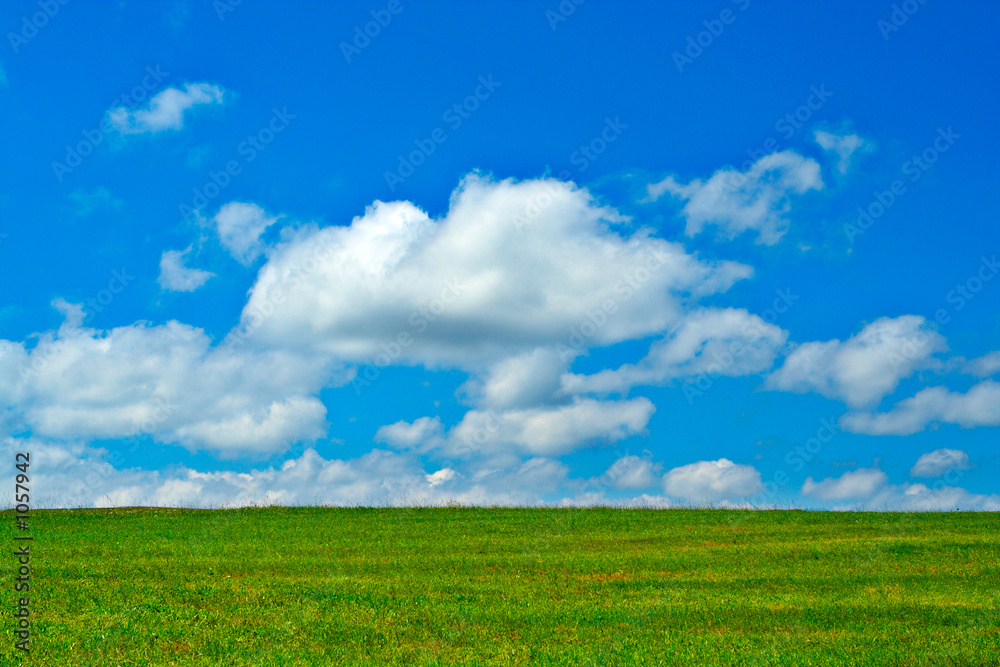 green field, blue sky and white clouds