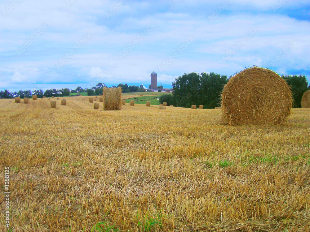 Fototapeta premium pixid_meules1