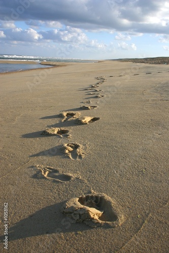 empreintes de pas sur le sable