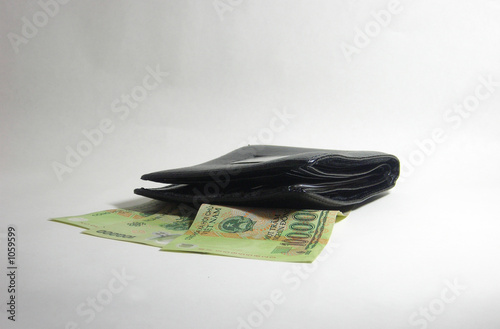 wallet