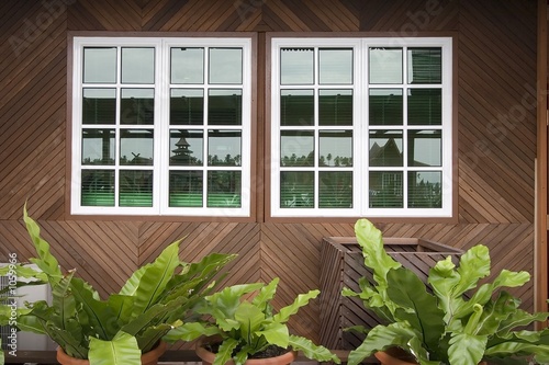wooden windows