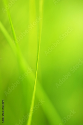 green_yellow abstraction
