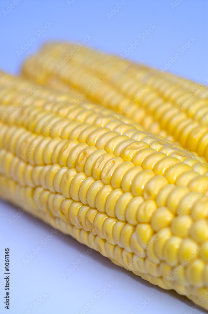 corn corn
