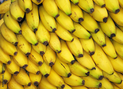 bunches of bananas
