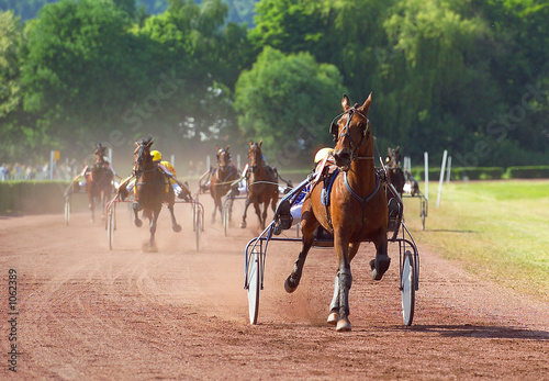 horse racing © gandolf