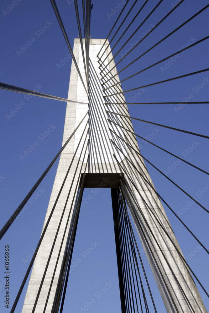 Obraz premium anzac bridge pylon