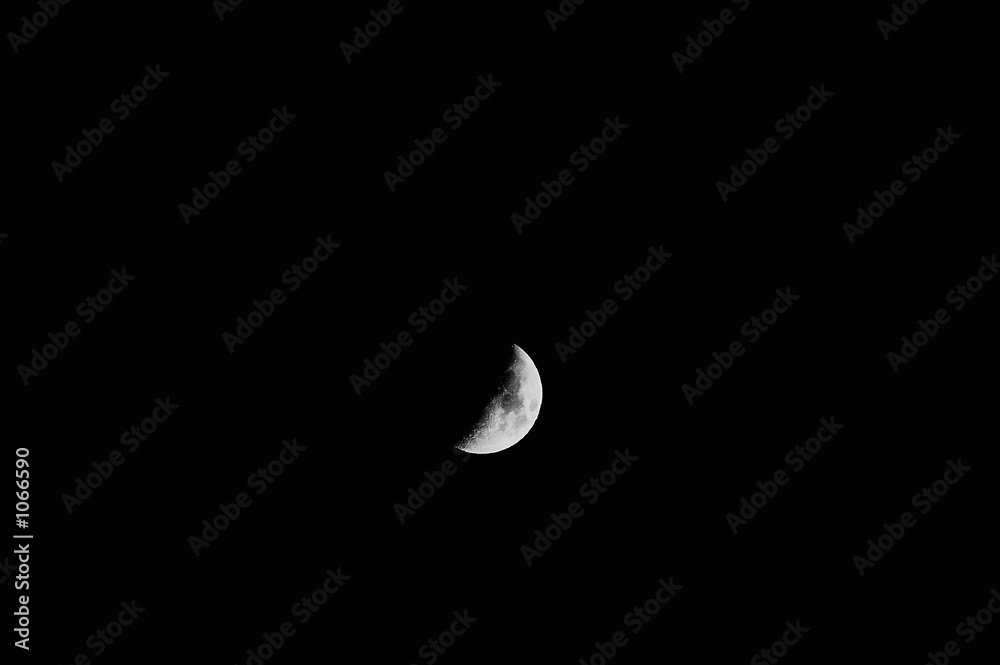 moon moon