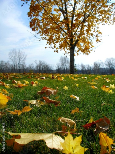 bright autumn day