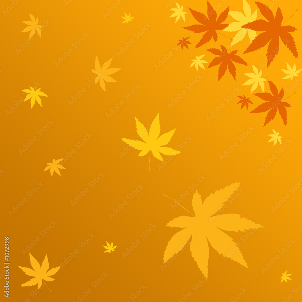 falling leaves falling leaves