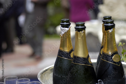 champagne reception photo