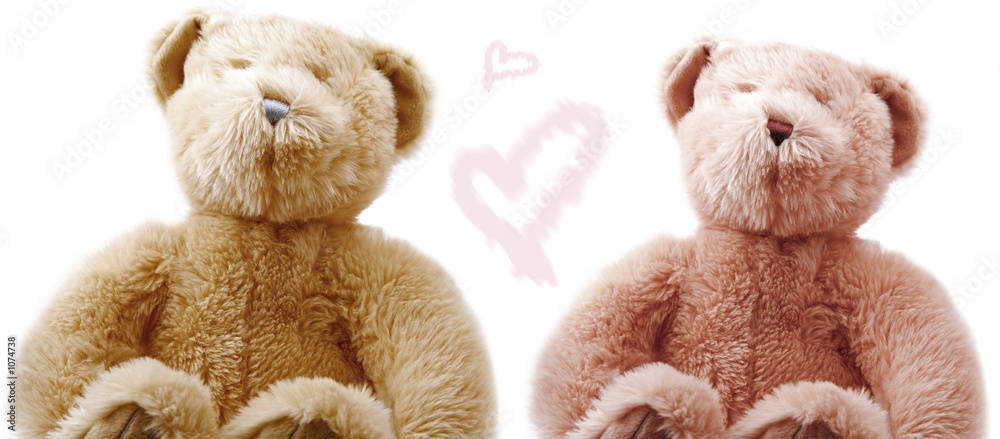teddy love teddy love