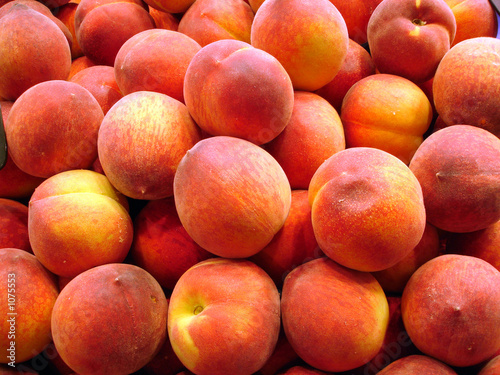 peach background photo