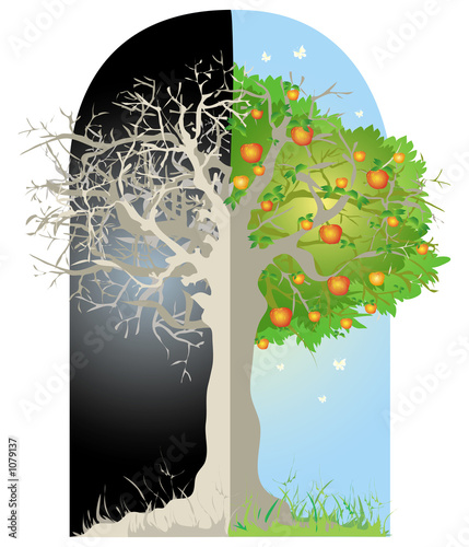 tree