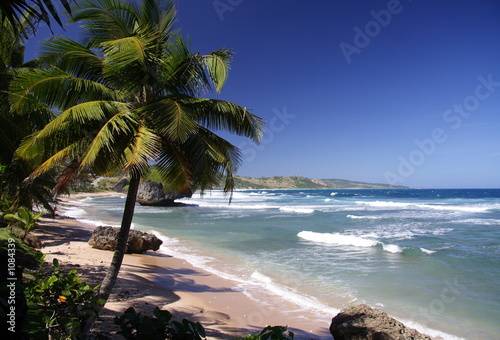 tropical beach