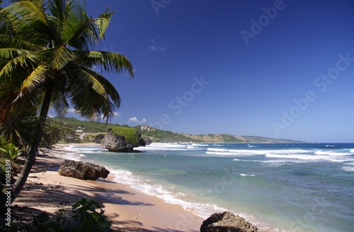 tropical beach