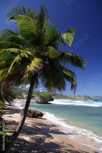 Fototapeta Naklejka Na Ścianę i Meble -  tropical beach