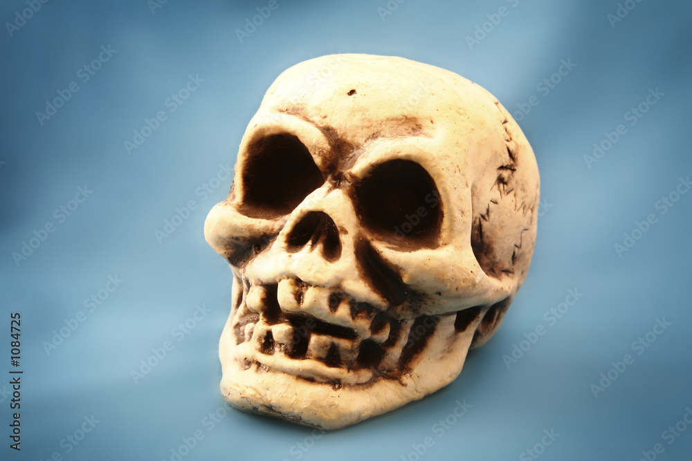 Obraz premium skull