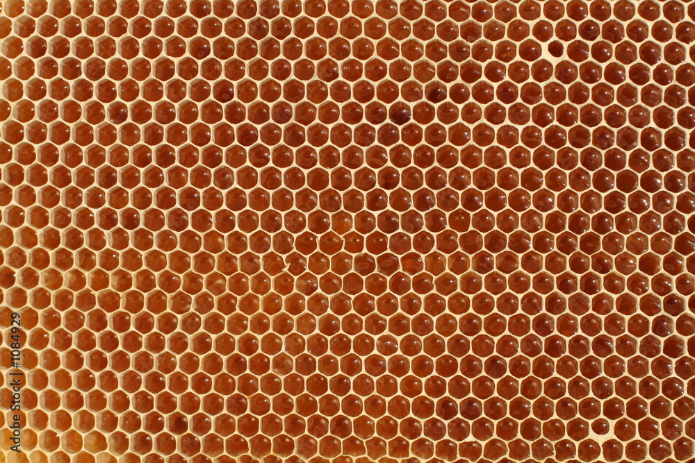 honeycell honeycell