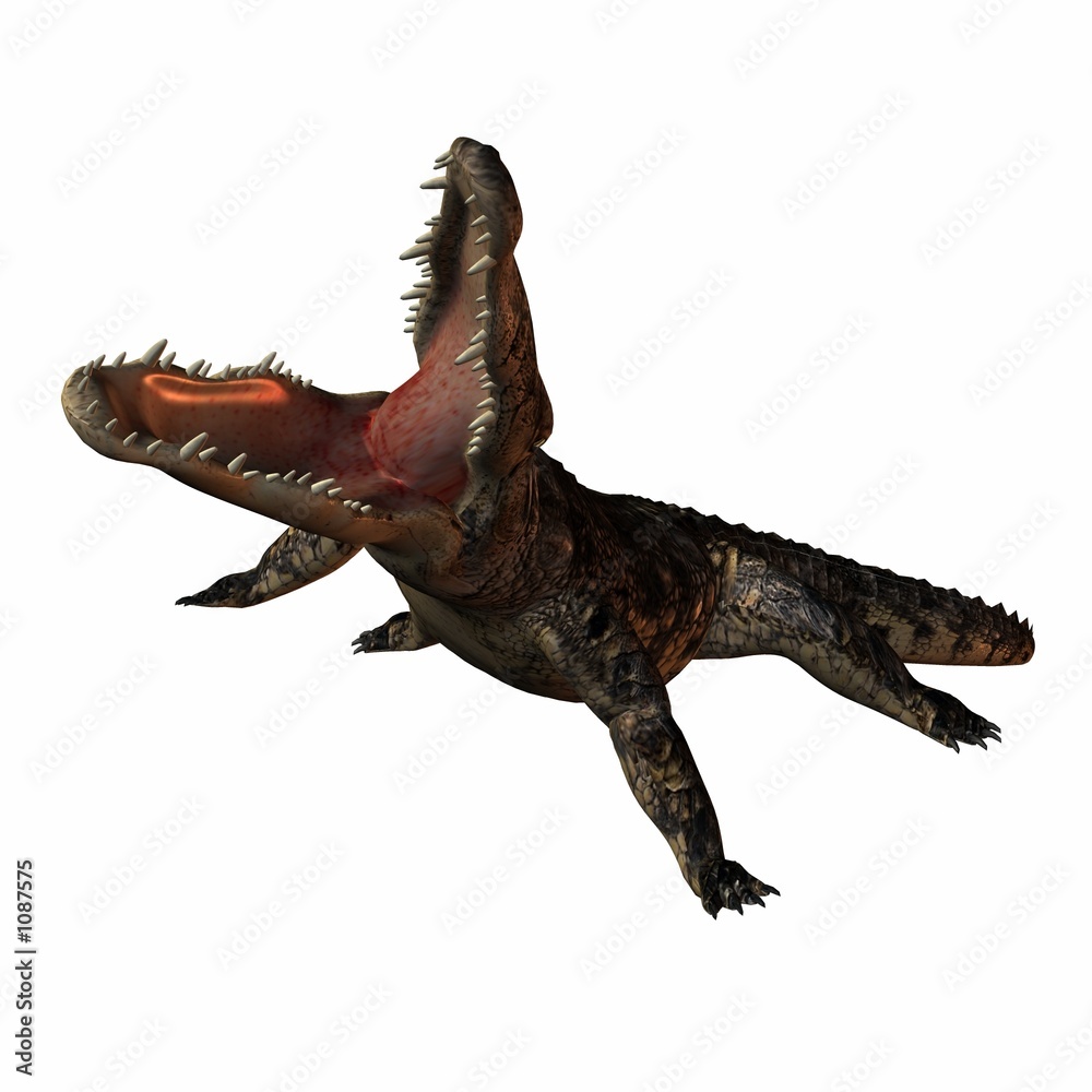 krokodil krokodil