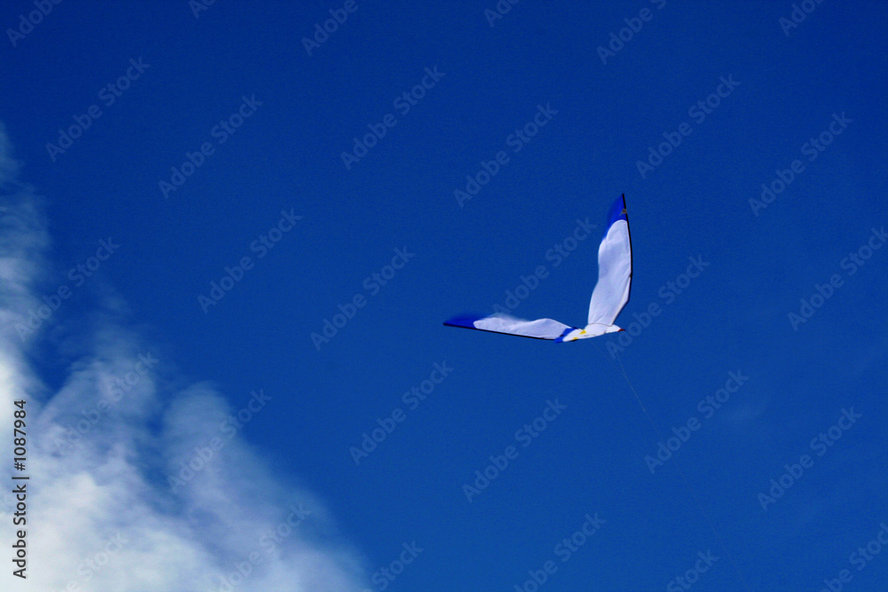 Fototapeta premium un goût de liberté