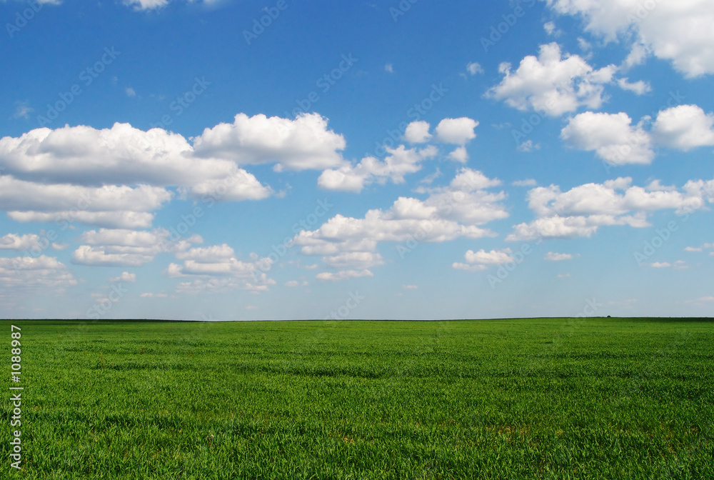 green field 1 green field 1
