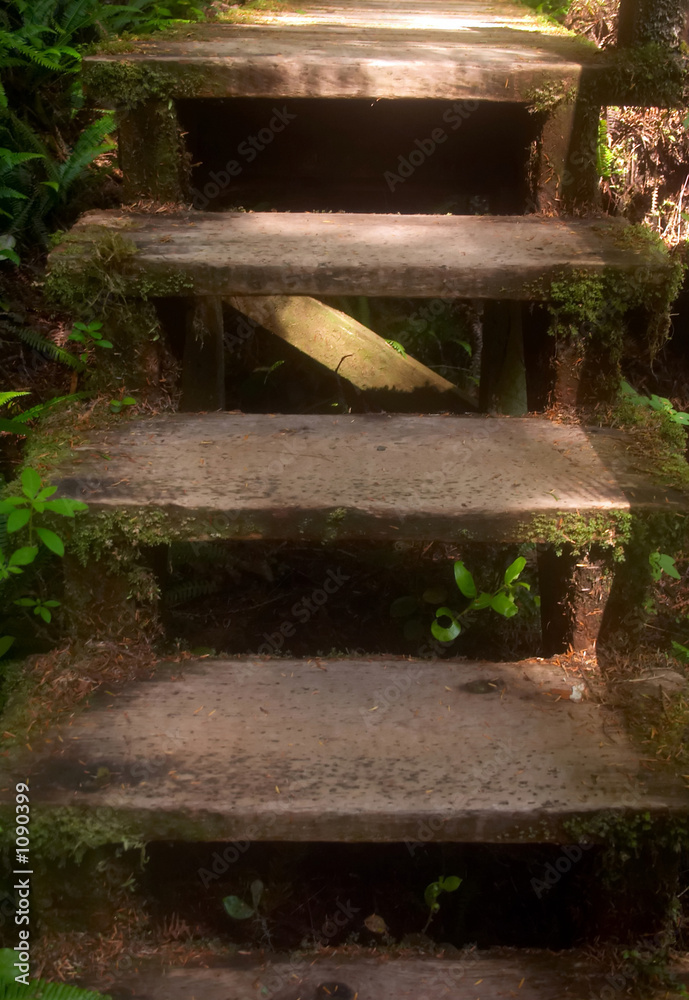 Fototapeta premium stairs