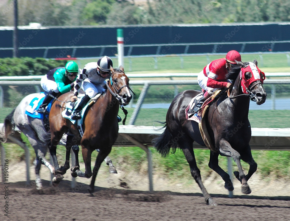race horses in the stretch
