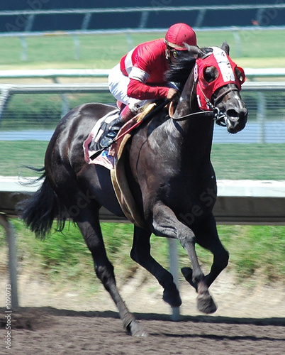 race horse & jockey