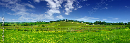 panoramic barossa © Kwest