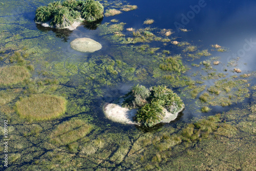 iles dans le delta de l'okavango