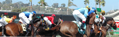 race horses coming out of the gate