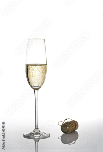 champagne glass