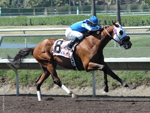 Fotografi race horse & jockey