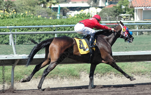 race horse & jockey photo