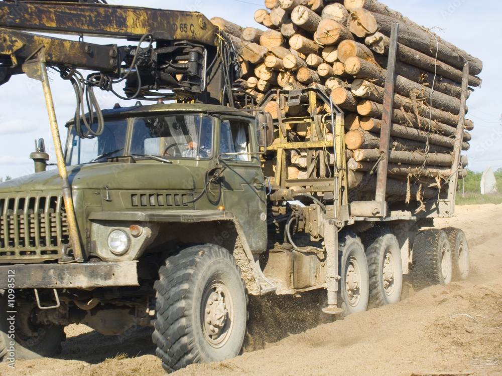 the timber carrying vessel the timber carrying vessel