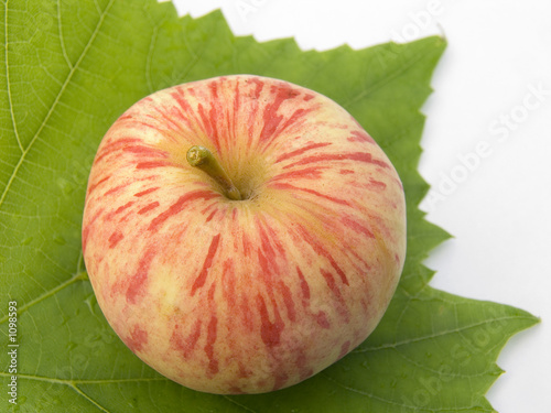 apple