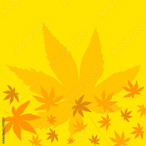 bright fall leaves