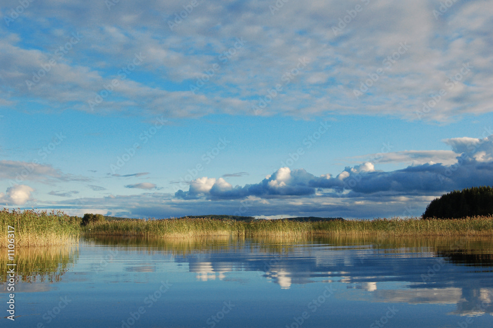 Obraz premium evening reedbeds