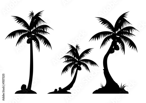 palm trees (triple) #1107520