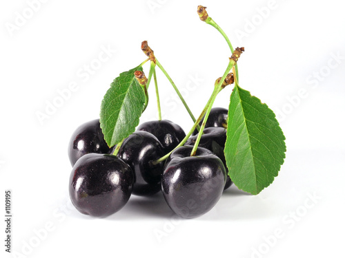 summertime:  black cherry