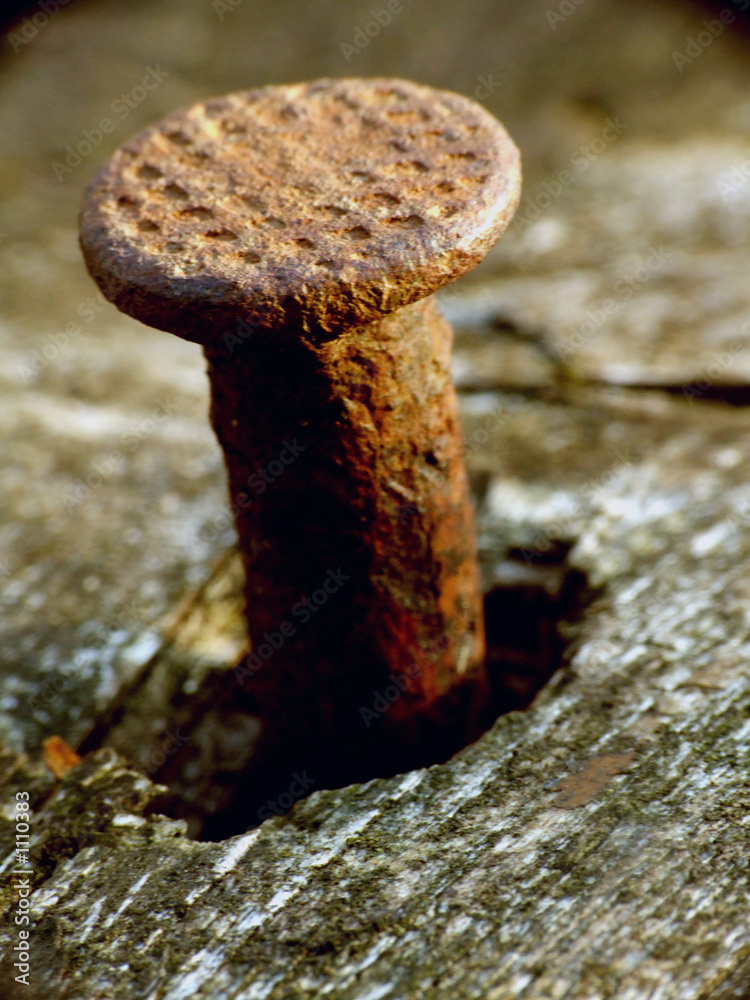 nagel StockFoto Adobe Stock