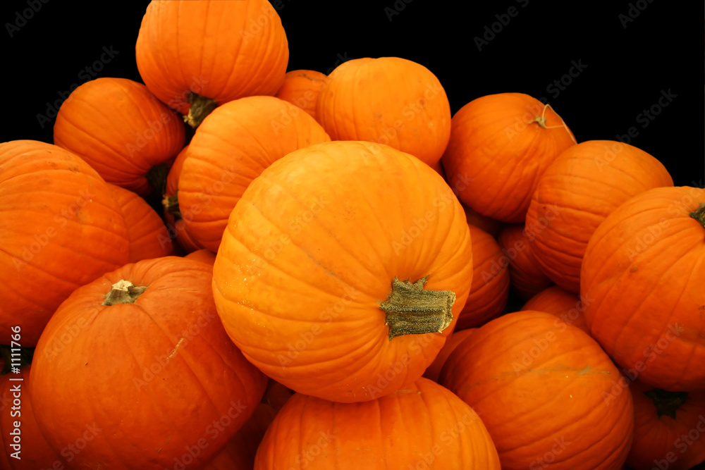 pumpkin pile isolated on black pumpkin pile isolated on black