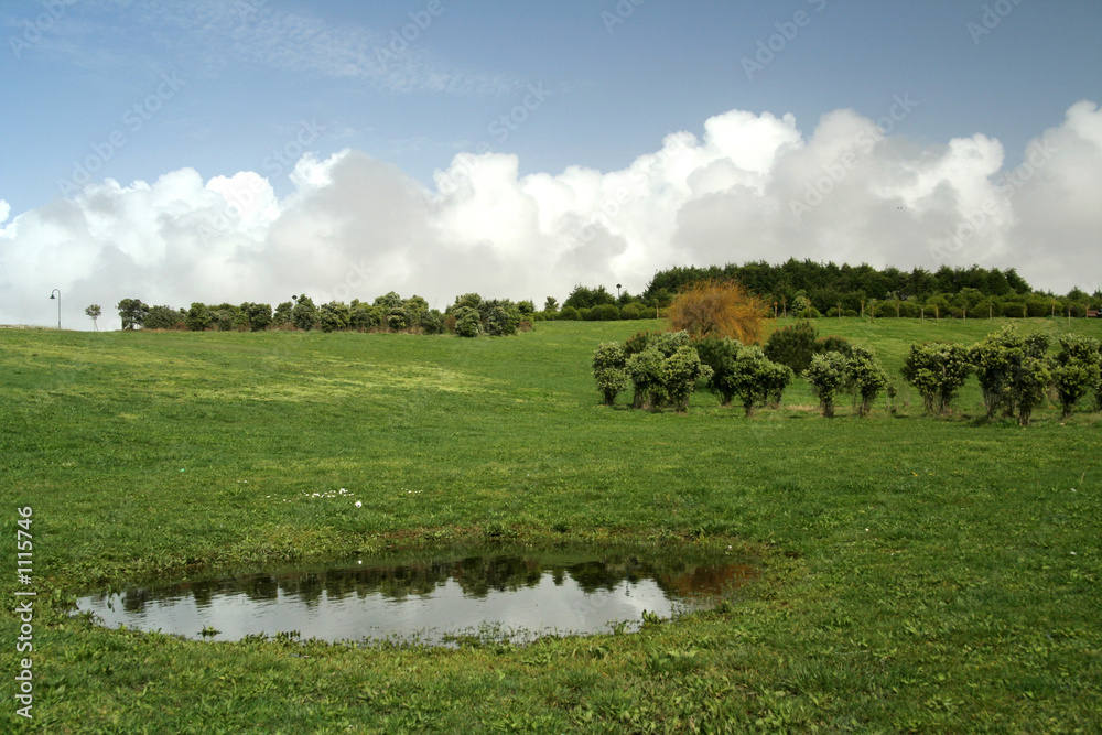 Obraz premium green field