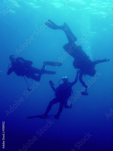 rescue diver