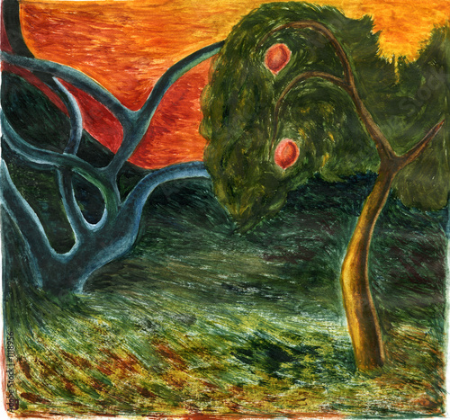 trees on the sunset