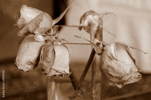Fotografie, Obraz wilting roses
