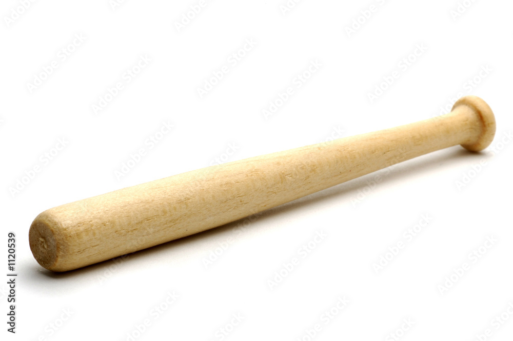 baseball bat baseball bat