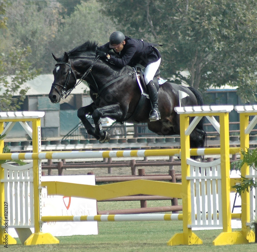 show horse & rider jumping a gate