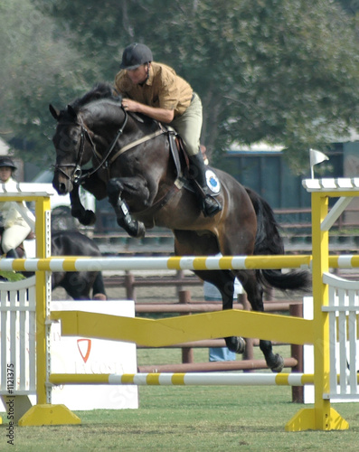 show horse & rider jumping a gate